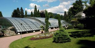 Römische Badruine Badenweiler mit Glasdach und einem Teil des Kurparks