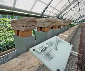 Vestiges des bains romains de Badenweiler